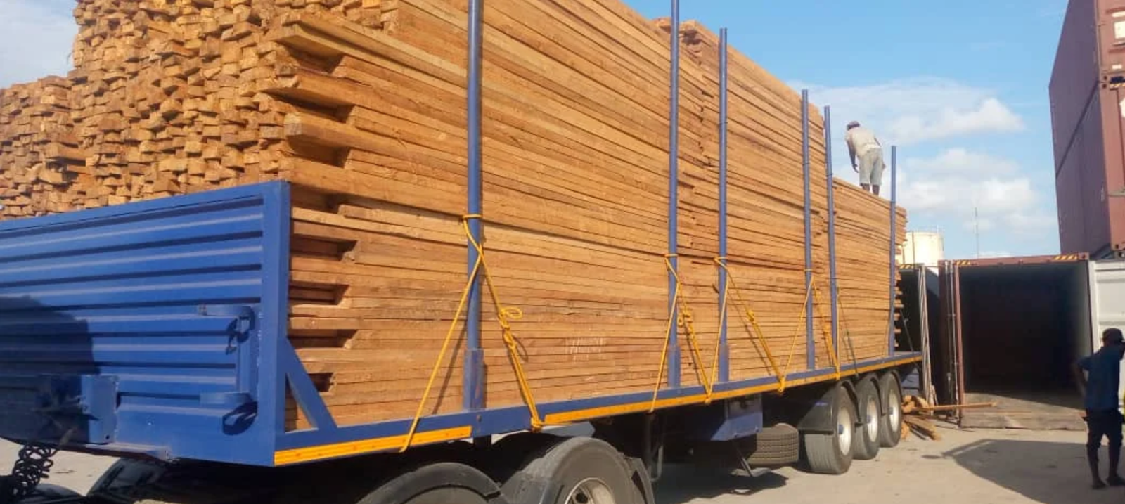 Pine Wood 3